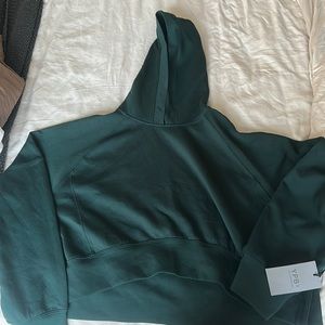 Abercrombie and Fitch YPB Cropped Hoodie